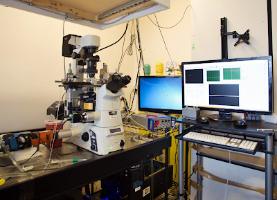 Biomembrane Force Probe BFP