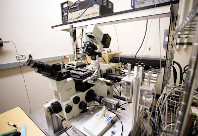 Micropipette Adhesion Frequency