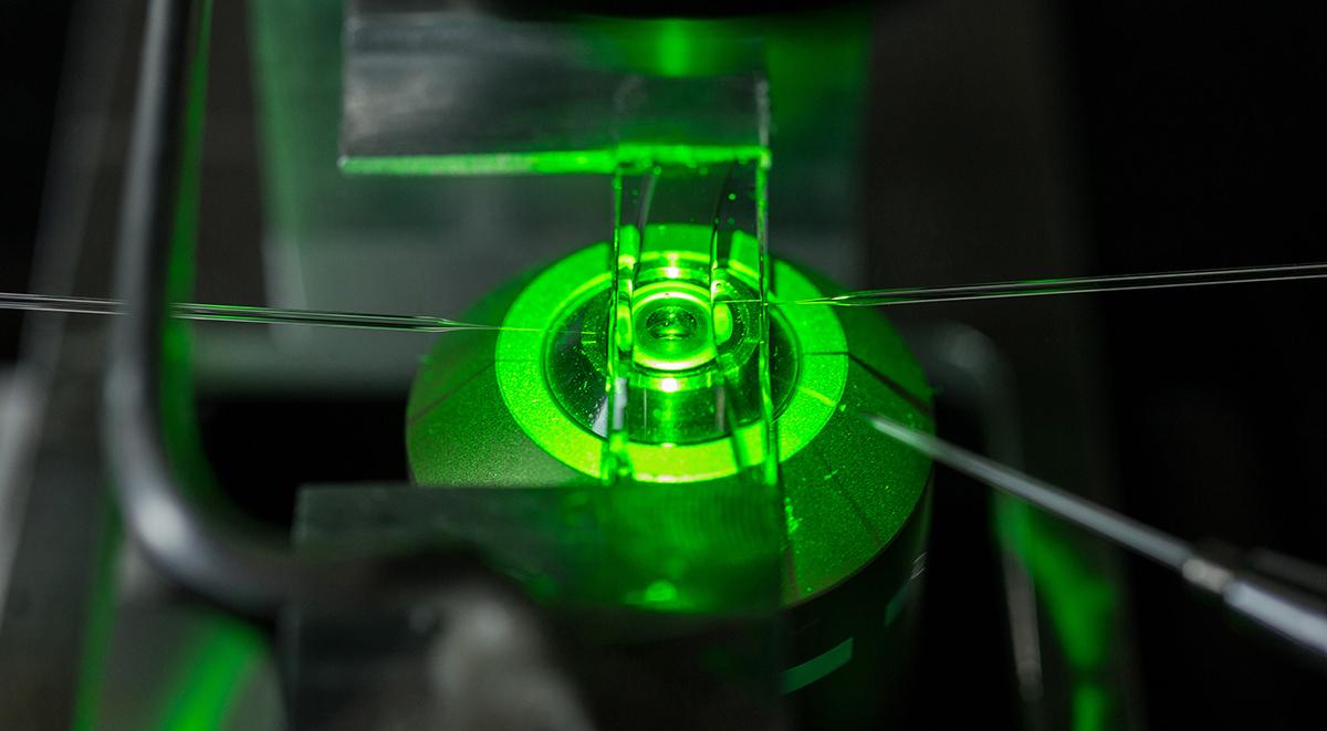 Zhu Lab Banner